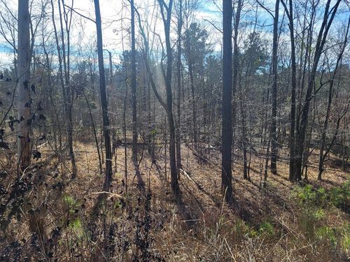 Lot 107 Old Ferry Rd, Sparta, GA, 31087-6139 | Card Image
