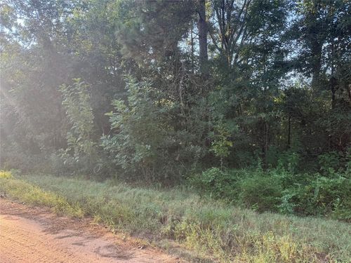 tbd Richard St, Coldspring, TX, 77331 | Card Image