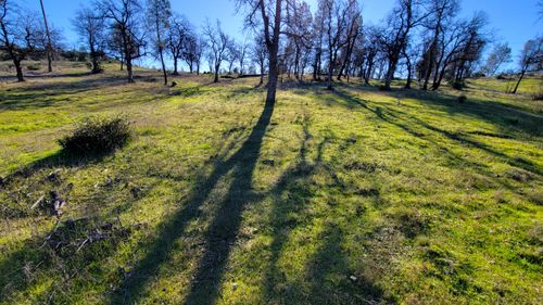 16166 Cagle Ln, Redding, CA, 96001-9650 | Card Image