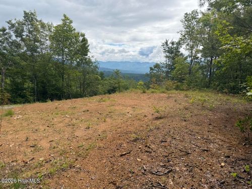 501a Cliff Top Trl, Andrews, NC, 28901 | Card Image