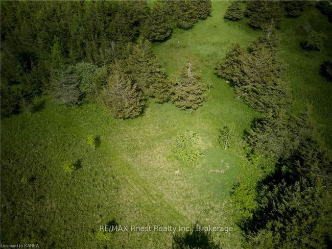 Image | Image 5