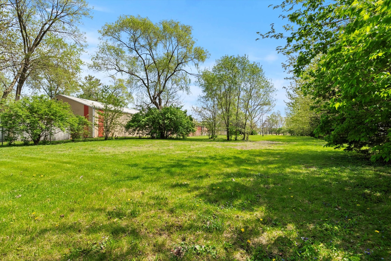 Farm in Manhattan 4