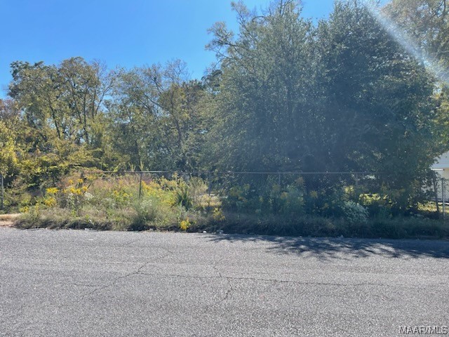 Delano Ave, Montgomery, AL 36105