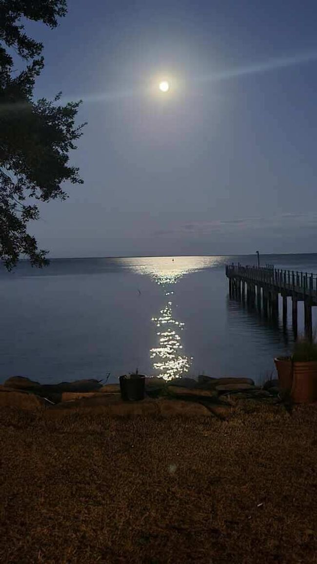 Resized_imagejpeg_0(9) | Image 61