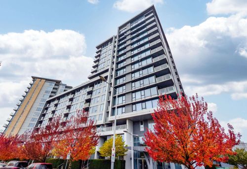 {{alt}} | Card Image