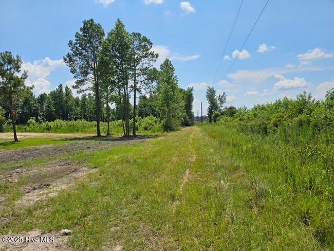 210 Memory Ln, Home with 0 bedrooms, 0 bathrooms and null parking in Burgaw NC | Image 4