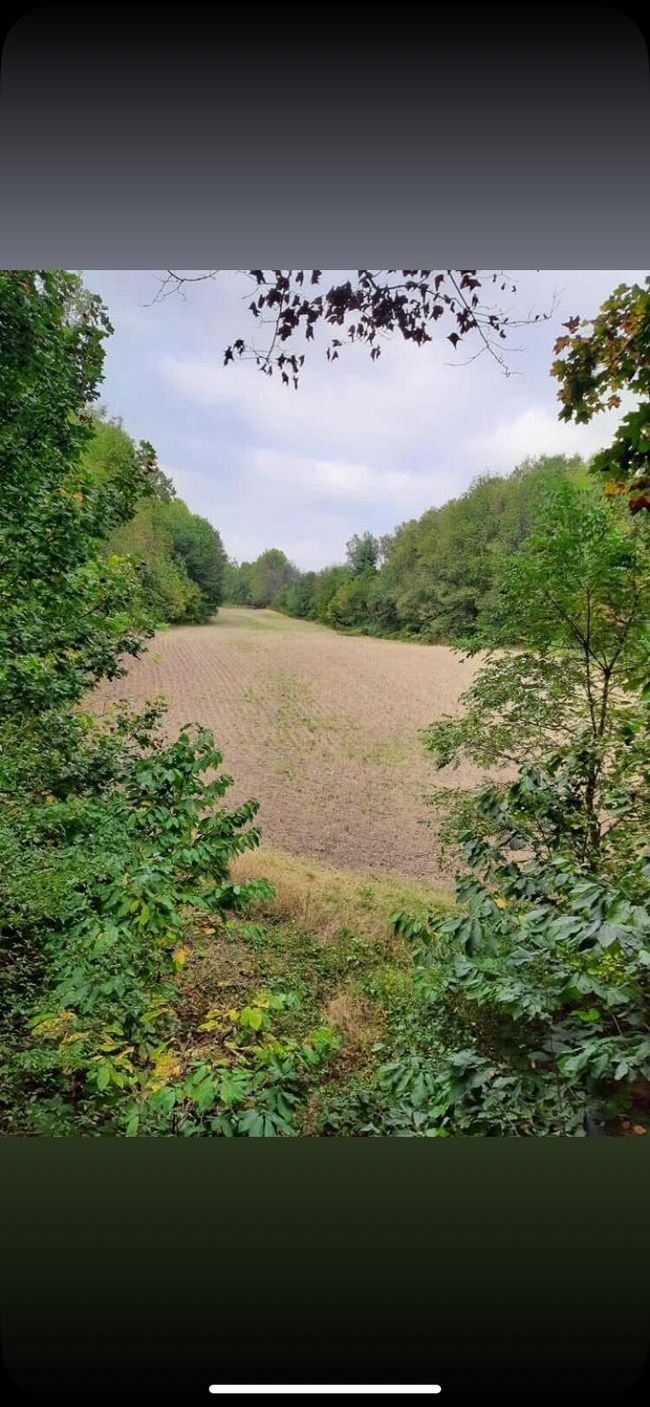 00000 County Road 673, Home with 0 bedrooms, 0 bathrooms and null parking in Lawrence MI | Image 18