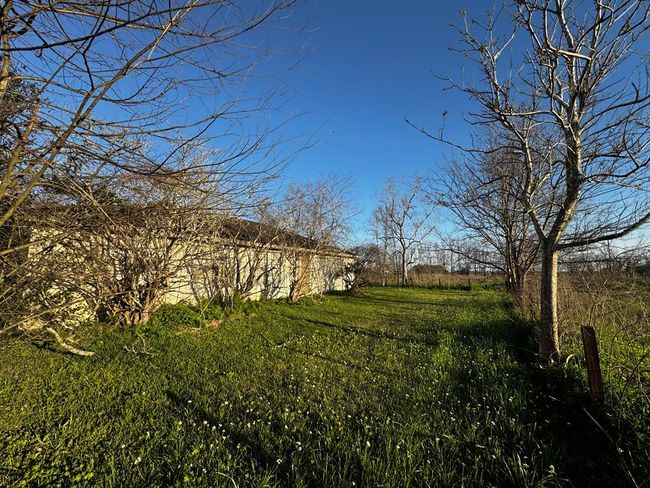 27215 Highway 36, Home with 0 bedrooms, 0 bathrooms and null parking in Damon TX | Image 38