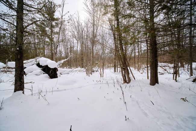 Property views | Image 6