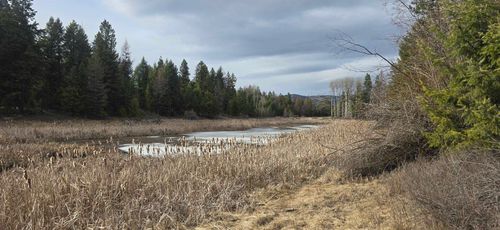 99 Prior Loop Rd, Other, WA, 98844 | Card Image