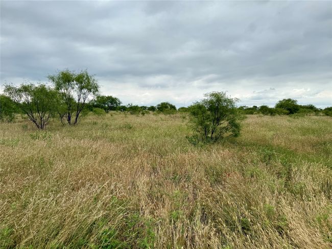 0000 Turtle Hole Rd, Home with 0 bedrooms, 0 bathrooms and null parking in Graham TX | Image 25
