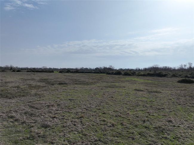 Additional mid pasture view. | Image 29