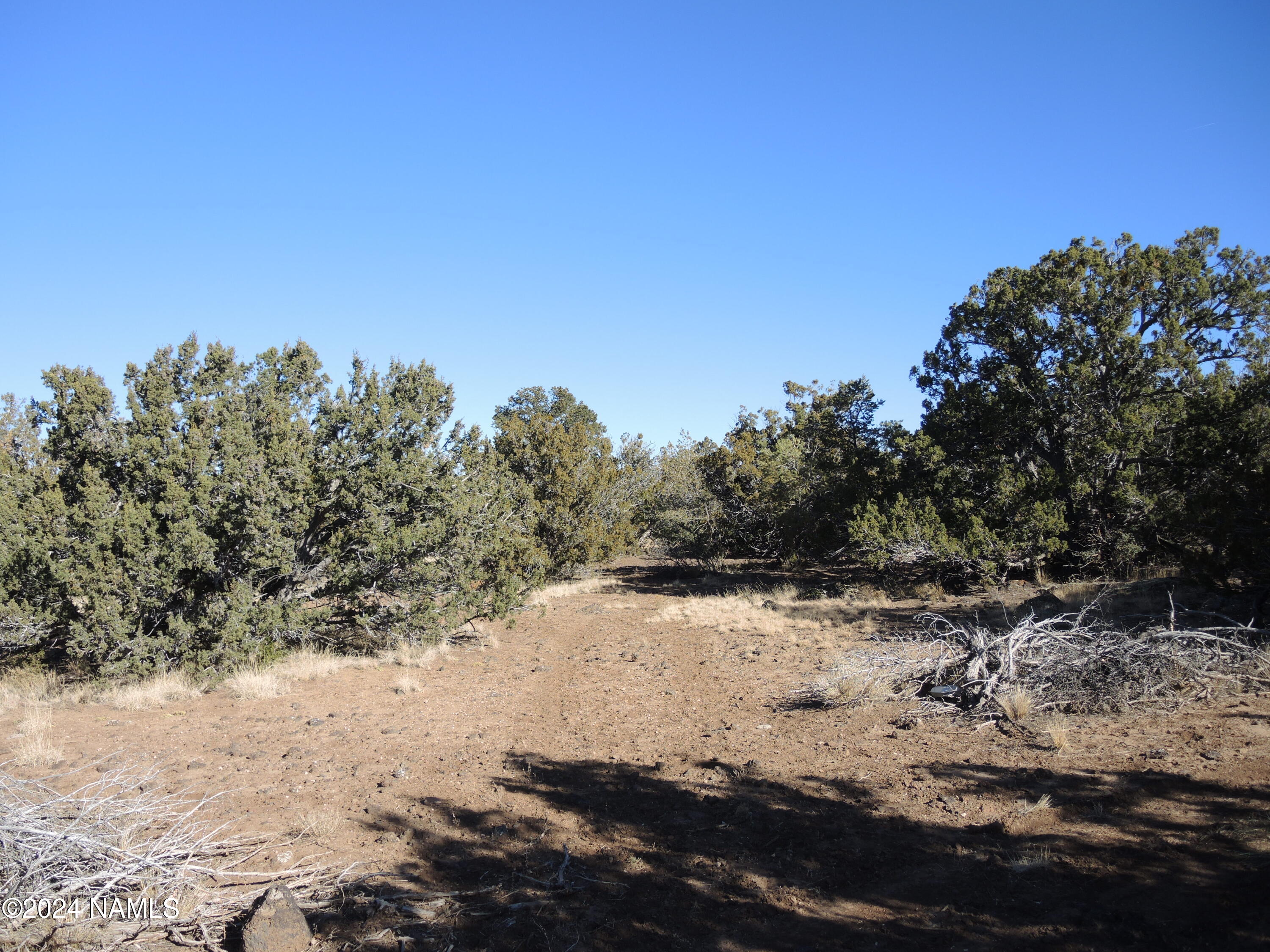 Land in Williams 2
