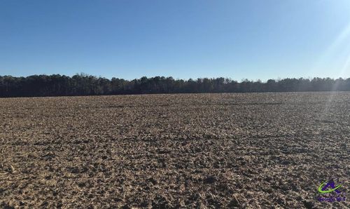 0 Whitfield Rd, Elko, GA, 31025 | Card Image