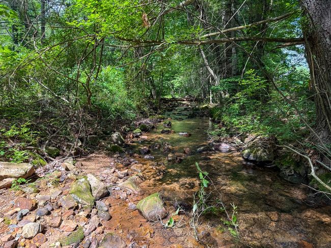2486 Laurel Fork Rd, Home with 0 bedrooms, 0 bathrooms and null parking in Rocky Gap VA | Image 30