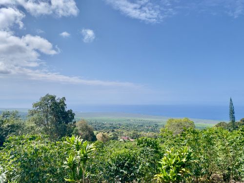 83-5586 Mamalahoa Hwy, Captain Cook, HI, 96704-8304 | Card Image