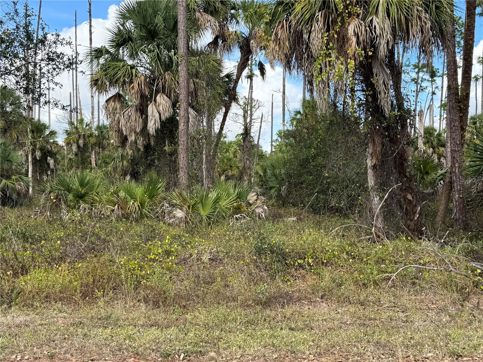 Land in PORT CHARLOTTE 3