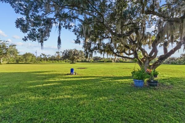 Land in MYAKKA CITY 4