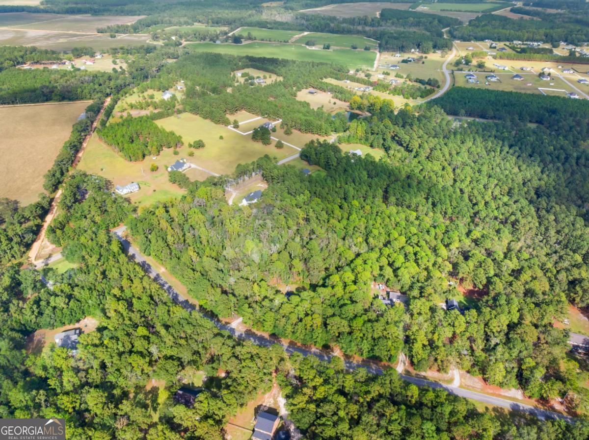 Land in Statesboro 5