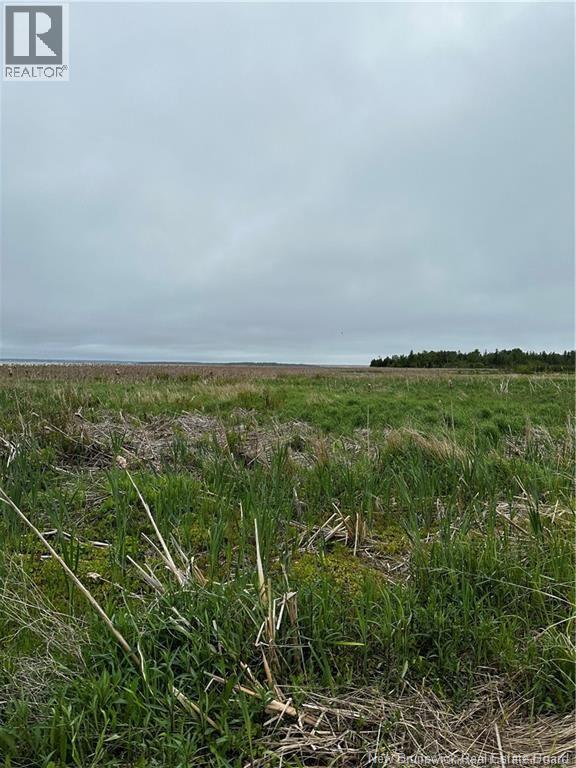 Land in Grande-Digue 4