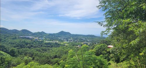 Carr. 412, Km. 4.8 Calle Pascual Nieves, Bo. Calvache, Rincon, PR, 00677 | Card Image