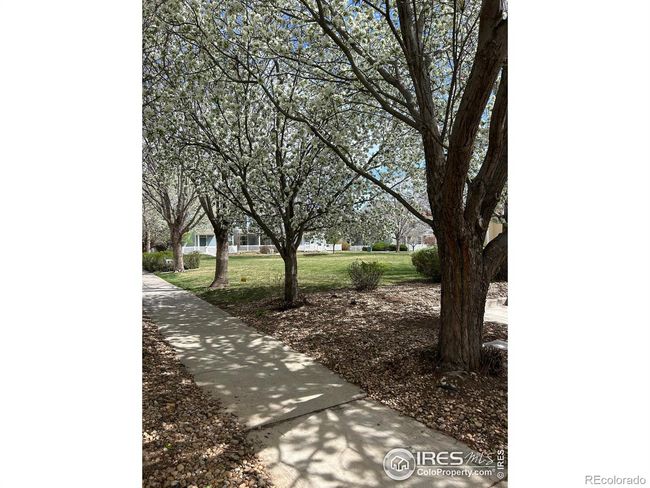 UNIT-1103 - 640 Gooseberry Dr, Condo with 2 bedrooms, 2 bathrooms and 1 parking in Longmont CO | Image 15