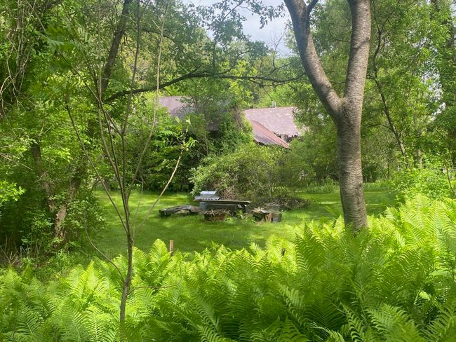 1254 Route 5, House other with 8 bedrooms, 1 bathrooms and null parking in Springfield VT | Image 14