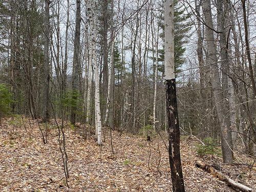 Lot 2 Route 26, Loon Lake, NY, 12989 | Card Image
