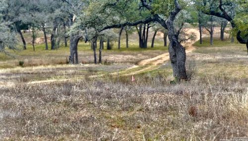 0 Creekside At Camp Verde Phase 2 Lot 151, Center Point, TX, 78010 | Card Image