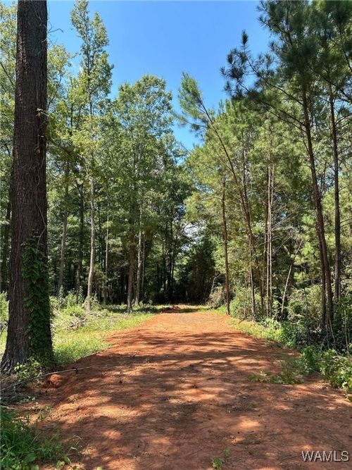 193 6th St Ne, Reform, AL, 35481-8039 | Card Image
