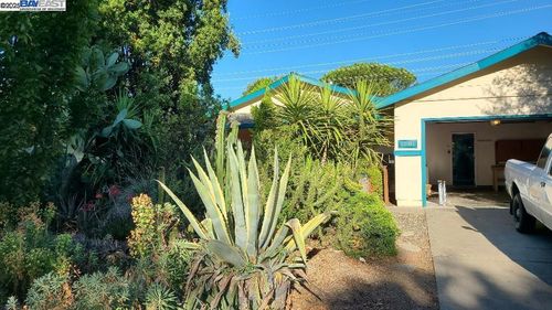 1501 L St, Davis, CA, 95616-1203 | Card Image