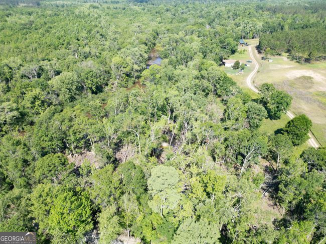 LOT 20 The River Landing, Home with 0 bedrooms, 0 bathrooms and null parking in Midville GA | Image 15
