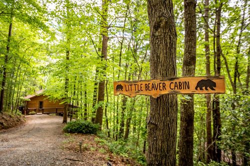 137 Little Bee Ln, Cherry Log, GA, 30522 | Card Image