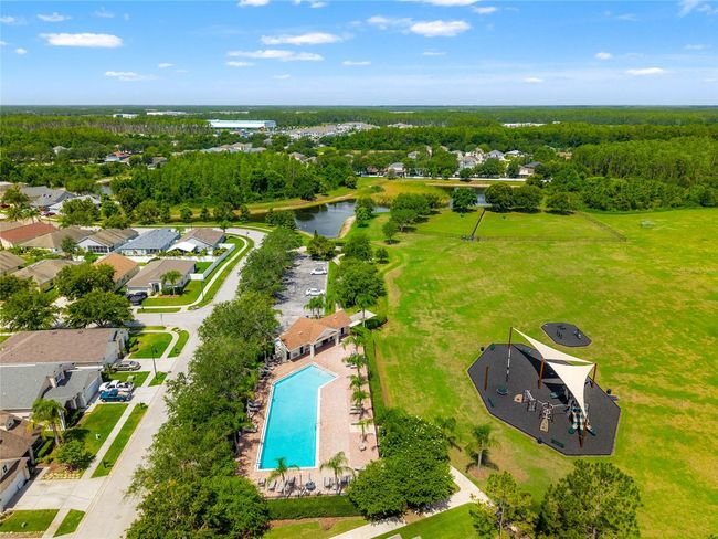 17342 Lawn Orchid Loop, House other with 4 bedrooms, 3 bathrooms and null parking in LAND O LAKES FL | Image 32