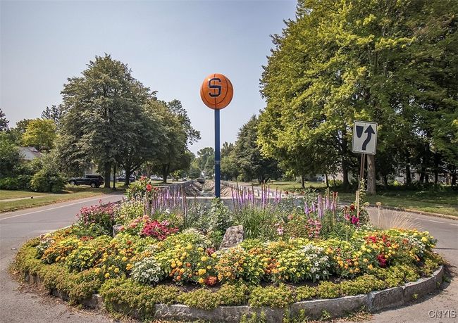 Turn off Meadowbrook at the basketball garden! | Image 45