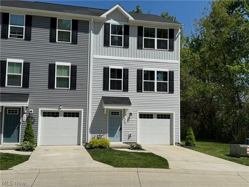 196 Raintree Ln, Painesville, OH, 44077-4168 | Card Image
