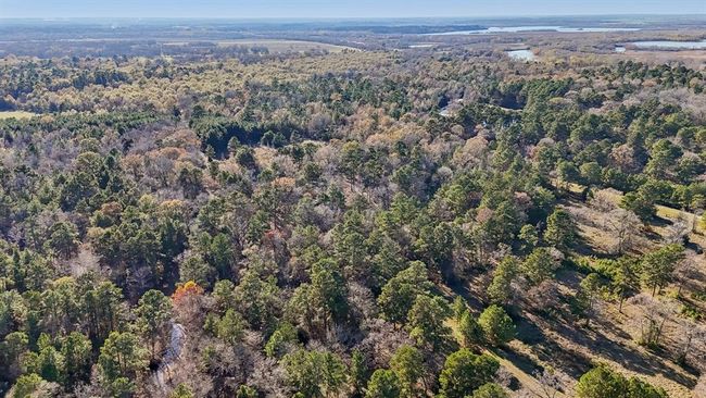 0 Bay Tree St, Home with 0 bedrooms, 0 bathrooms and null parking in Trinity TX | Image 10