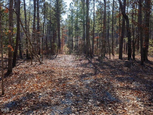 21-021-Tract1-RobedoRd-MontgomeryCounty- | Image 15
