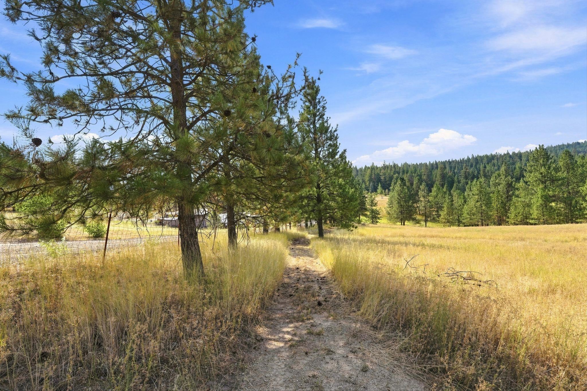 Land in Chattaroy 5