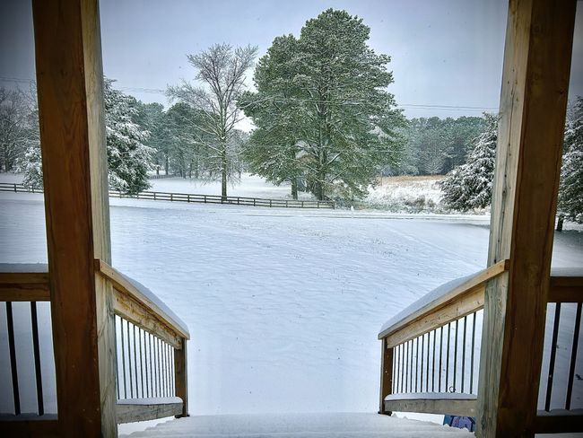 118 Beartown Rd, House other with 3 bedrooms, 2 bathrooms and 4 parking in Loretto TN | Image 5