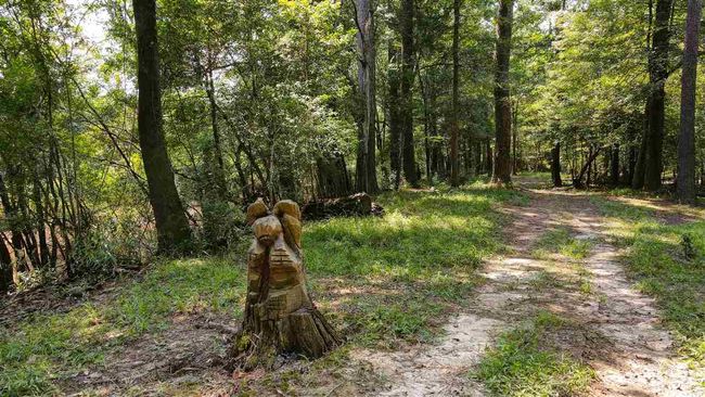 000 Highway 96 Byp, Home with 0 bedrooms, 0 bathrooms and null parking in Silsbee TX | Image 22