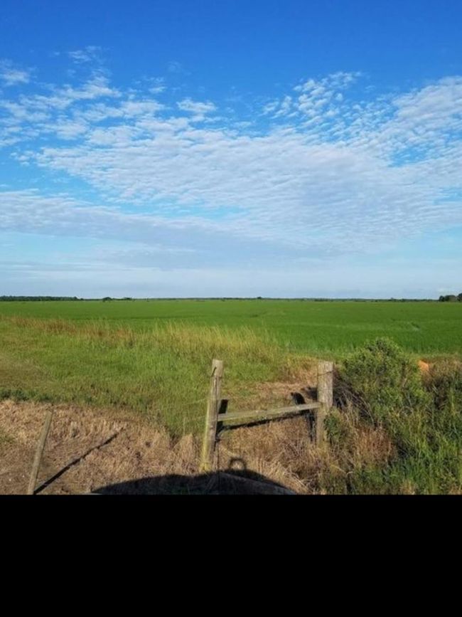 001 Fm 365, Home with 0 bedrooms, 0 bathrooms and null parking in Nome TX | Image 8