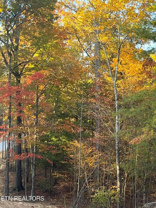 110 Cherokee Path, Tellico Plains, TN, 37385 | Card Image