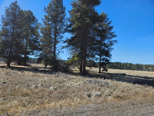25-0 Longhorn Loop, Chiloquin, OR, 97624 | Card Image