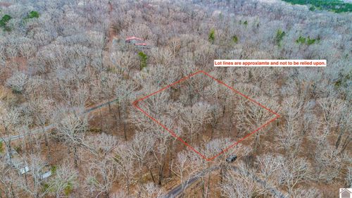 000 Mussel Ln, New Concord, KY, 42076 | Card Image