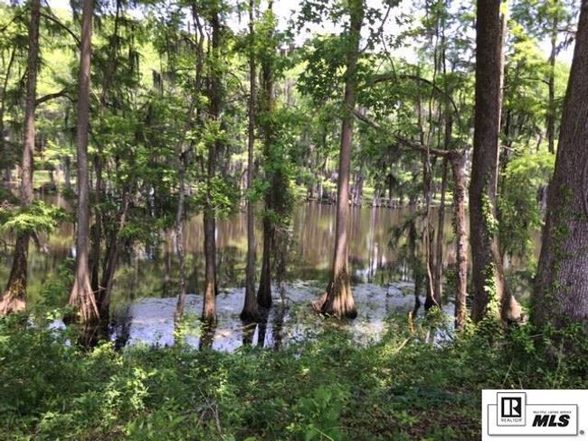 9382 Desiard Trce, Home with 0 bedrooms, 0 bathrooms and null parking in Sterlington LA | Image 8
