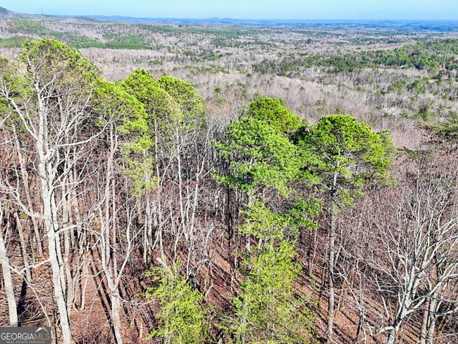 654 - 334 Mountain Sweet Dr, Home with 0 bedrooms, 0 bathrooms and null parking in Clarkesville GA | Image 10