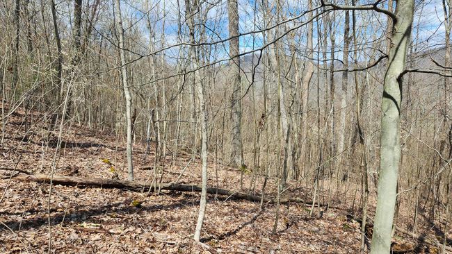 TRACT-1-PIKE-LAKE-GETAWA - 0 Pike Lake Rd, Home with 0 bedrooms, 0 bathrooms and null parking in Bainbridge OH | Image 27