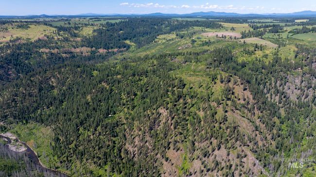 0 Forest Garden Ln, Home with 0 bedrooms, 0 bathrooms and null parking in Weippe ID | Image 21