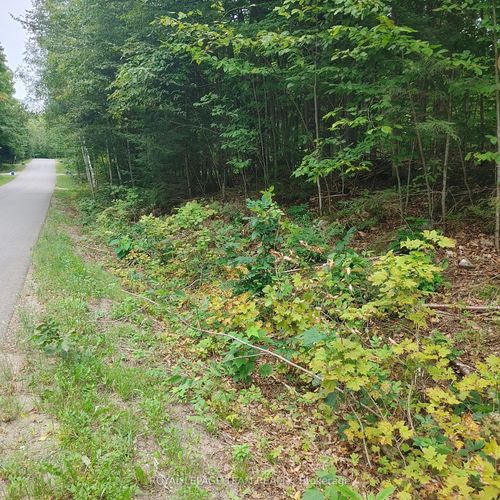 49 Lorlei Dr, White Lake, ON, K0A3L0 | Card Image
